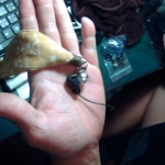 �i�J����