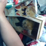 �i�J����