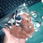 �i�J����