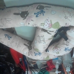 �i�J����