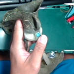 �i�J����