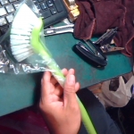 �i�J����