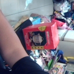 �i�J����