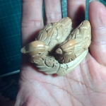 �i�J����