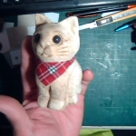 �i�J����