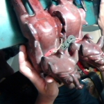 �i�J����