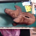 �i�J����