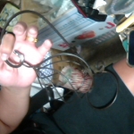 �i�J����