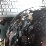 �i�J����