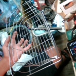 �i�J����