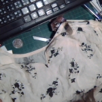 �i�J����