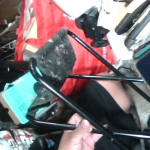 �i�J����