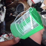 �i�J����