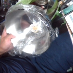 �i�J����