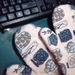 �i�J����