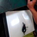 �i�J����