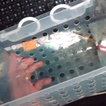 �i�J����