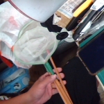 �i�J����