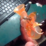 �i�J����