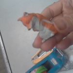 �i�J����