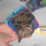 �i�J����