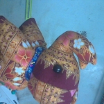 �i�J����