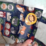 �i�J����