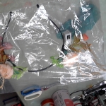 �i�J����