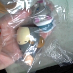 �i�J����