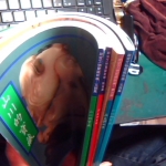 �i�J����