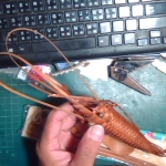 �i�J����