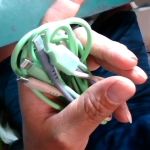 �i�J����