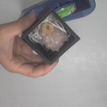 �i�J����