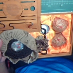 �i�J����