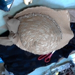 �i�J����