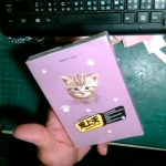 �i�J����