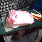 �i�J����