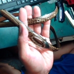 �i�J����