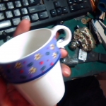 �i�J����