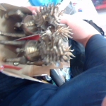 �i�J����