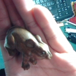 �i�J����