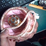 �i�J����