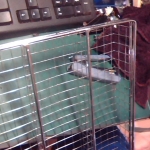 �i�J����