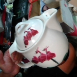 �i�J����