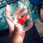 �i�J����