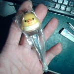 �i�J����