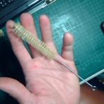 �i�J����