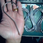 �i�J����