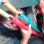 �i�J����