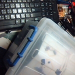 �i�J����